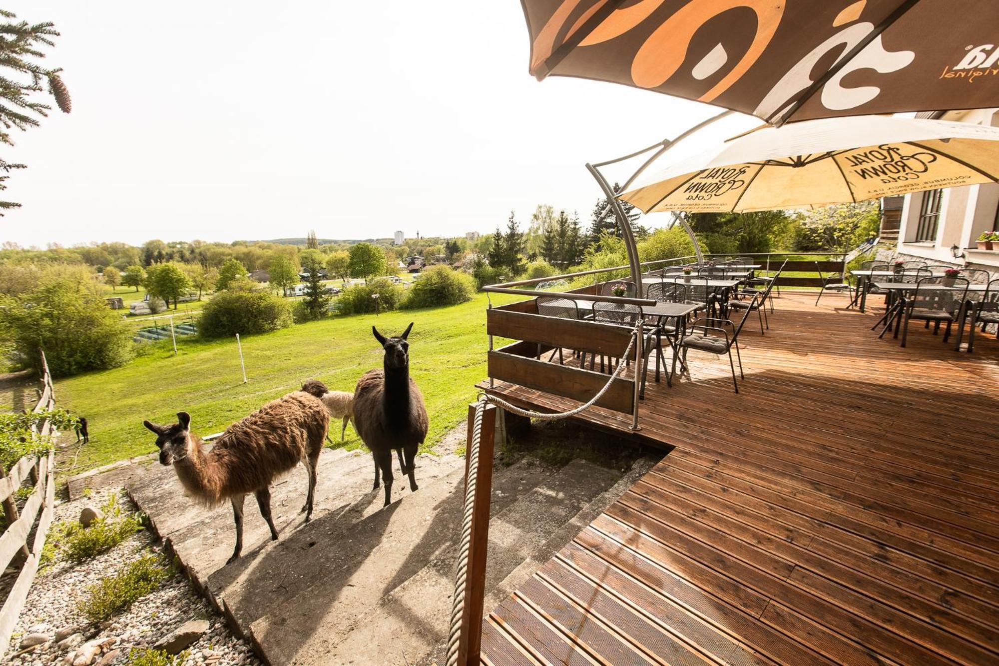 Hotel Rozkos Česká Skalice Eksteriør billede